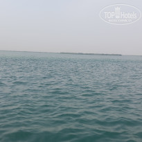 фото из отзыва ID 2726904