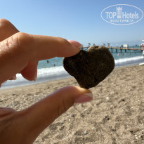 фото из отзыва ID 2726938