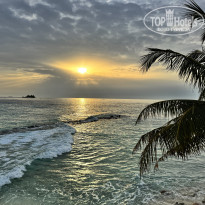 фото из отзыва ID 2726970