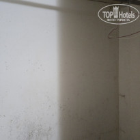 фото из отзыва ID 2727026