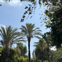 фото из отзыва ID 2727087