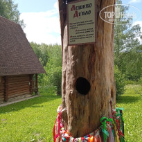 фото из отзыва ID 2727149