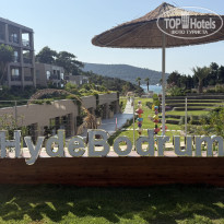 фото из отзыва ID 2727152