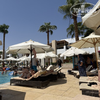 фото из отзыва ID 2727180