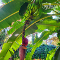 фото из отзыва ID 2727202