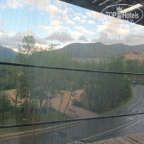 фото из отзыва ID 2727221