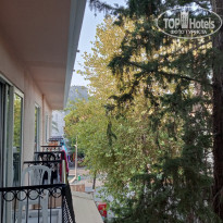 фото из отзыва ID 2727200