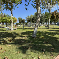 фото из отзыва ID 2727231