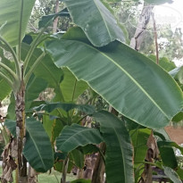 фото из отзыва ID 2727243