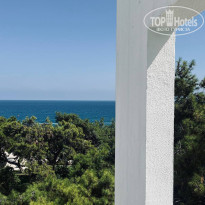 фото из отзыва ID 2727243