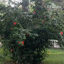 фото из отзыва ID 2727243