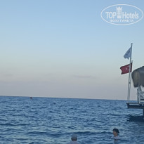 фото из отзыва ID 2727243