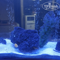 фото из отзыва ID 2727243