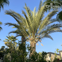 фото из отзыва ID 2727263