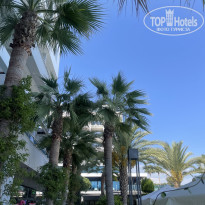 фото из отзыва ID 2727263