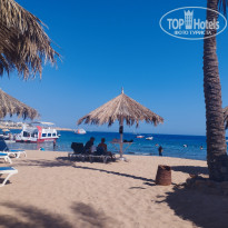 фото из отзыва ID 2727267