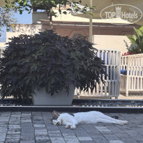 фото из отзыва ID 2727269