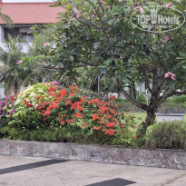 фото из отзыва ID 2727282