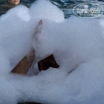 фото из отзыва ID 2727282