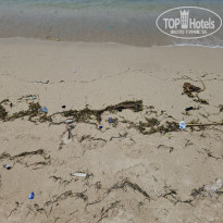 фото из отзыва ID 2727282