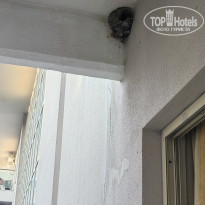 фото из отзыва ID 2727304