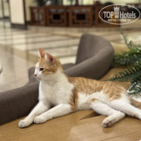 фото из отзыва ID 2727305