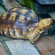 фото из отзыва ID 2726752