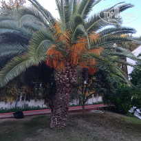 фото из отзыва ID 2727310