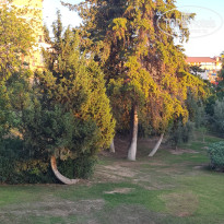 фото из отзыва ID 2727310