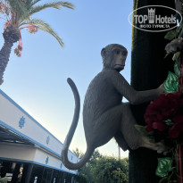 фото из отзыва ID 2727330