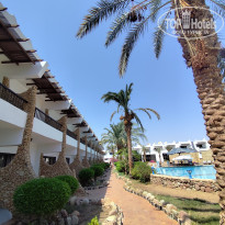 фото из отзыва ID 2727329