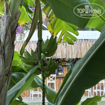 фото из отзыва ID 2727389