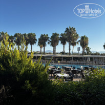 фото из отзыва ID 2727411