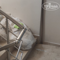 фото из отзыва ID 2727416