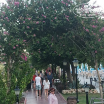 фото из отзыва ID 2727210