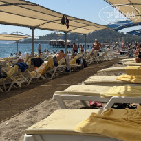 фото из отзыва ID 2727449