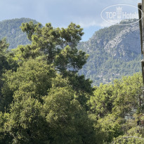 фото из отзыва ID 2727449