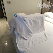 фото из отзыва ID 2727461