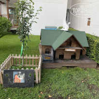 фото из отзыва ID 2727465