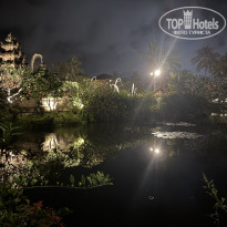 фото из отзыва ID 2727480