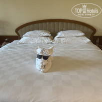 фото из отзыва ID 2727480