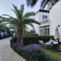 фото из отзыва ID 2727486