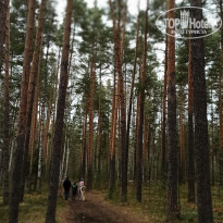 фото из отзыва ID 2727489