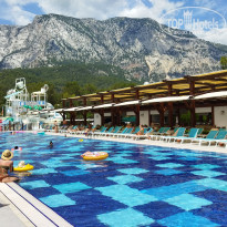 фото из отзыва ID 2727524