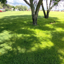 фото из отзыва ID 2727524