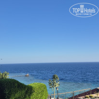 фото из отзыва ID 2727539