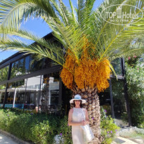 фото из отзыва ID 2727549