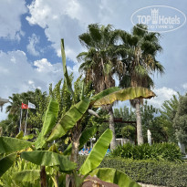 фото из отзыва ID 2726734