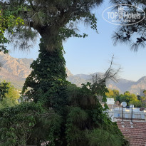 фото из отзыва ID 2727673