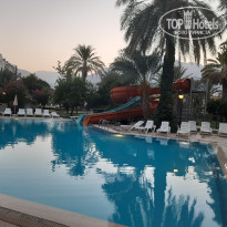 фото из отзыва ID 2727673